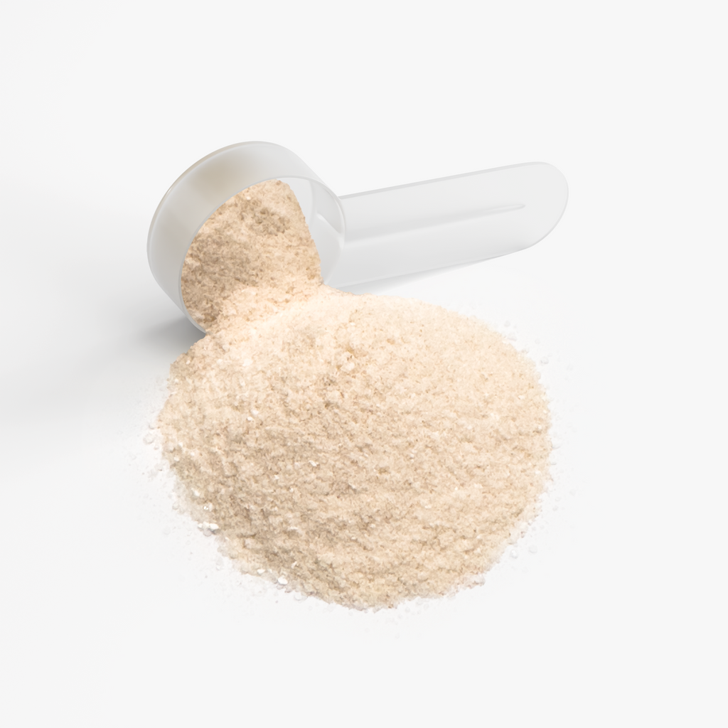 Hydration Powder – Lemonade | Electrolyte & Daily Hydration Drink Mix | Light & Leaf Wellness